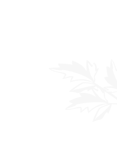 世界杯线上买球